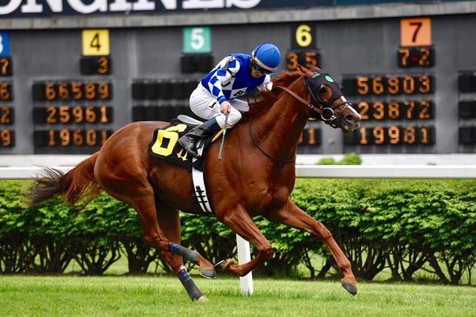 Bourbon & Derby: Makers Mark or Buffalo Trace + Churchill Down - Tour Start Time Flexibility