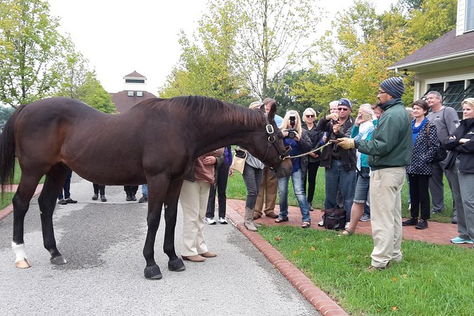 Bourbon Distillery & Horse Farm Tours - Booking and Confirmation