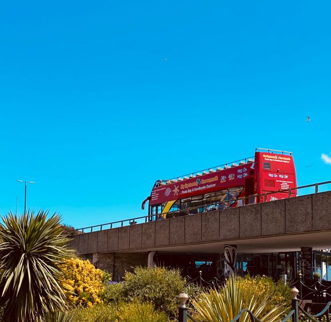 Bournemouth: City Sightseeing Hop-On Hop-Off Bus Tour - Availability and Booking