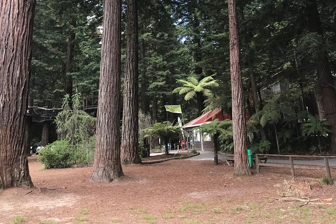 Boutique Tour , Mt Maunganui, NZ Farm, Rotorua Lakes/Geothermal - Inclusions and Additional Costs