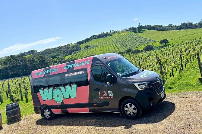 Boutique Waiheke Island Wine, Gin and Food Tour - Key Points