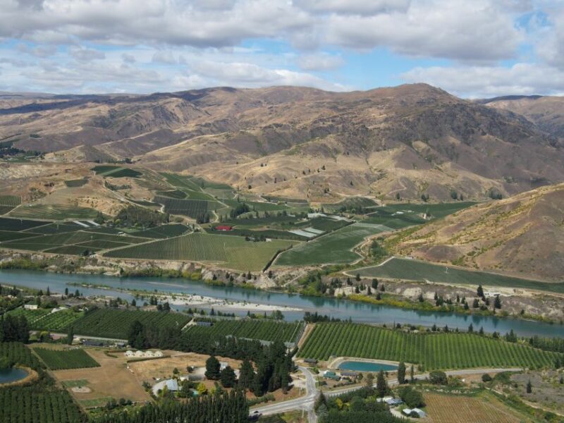 Boutique Winery Half-Day Tour & Vineyard Platter-Style Lunch - Tour Itinerary