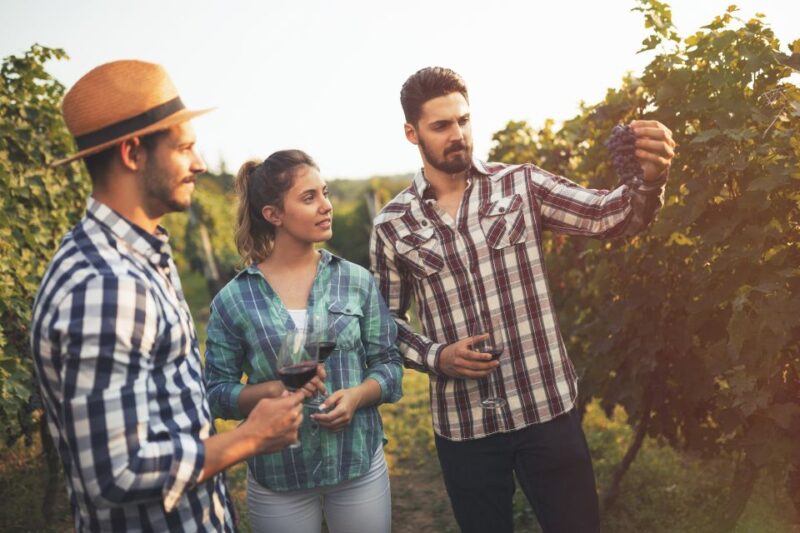 Boutique Winery Half-Day Tour & Vineyard Platter-Style Lunch - Customer Feedback