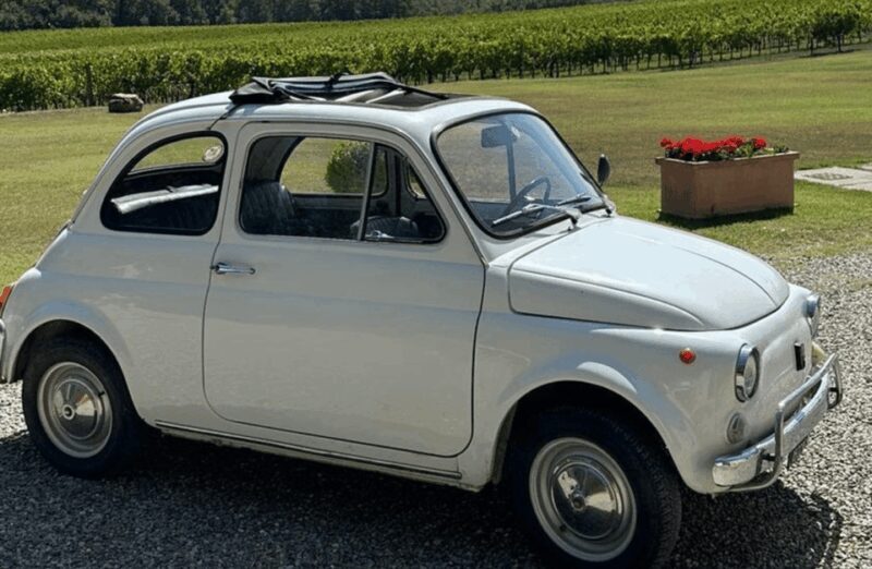 Boutique Winery Visit & Wine Tasting Near Arezzo - Vineyard and Winemaking Insights