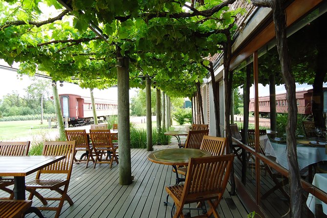 Bouza Winery Tastings and Tapas (Esp, Eng, Port) - Wine Tasting Highlights