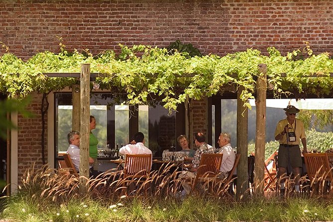 Bouza Winery Tastings and Tapas (Esp, Eng, Port) - Ambience and Atmosphere