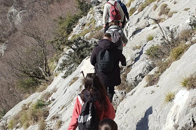 Bovilla Lake Hiking Experience - Personalized Tour Experience