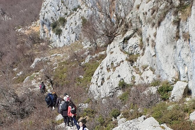 Bovilla Lake Hiking Experience - Transport and Photography
