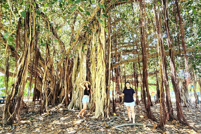 Bowen Beaches Discovery-Top of the Whitsundays - Personalized Attention From Guide
