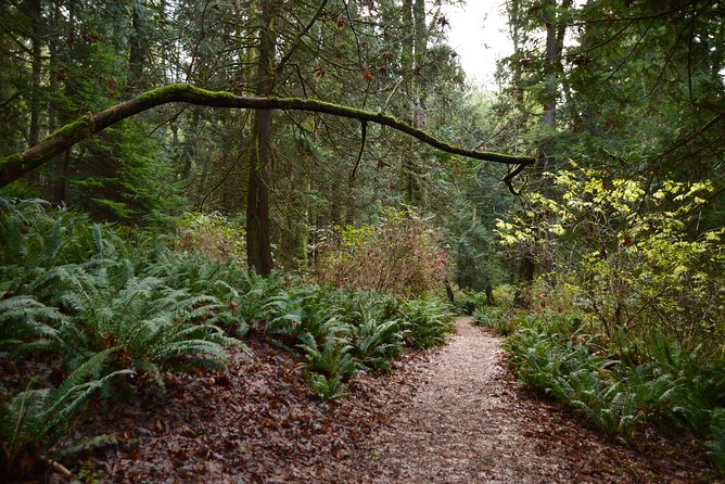 Bowen Island Ferry, Hike & Photography - Accessibility and Restrictions