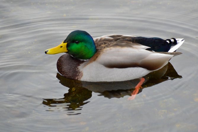 Bowen Island Ferry, Hike & Photography - Guided Photography Instruction