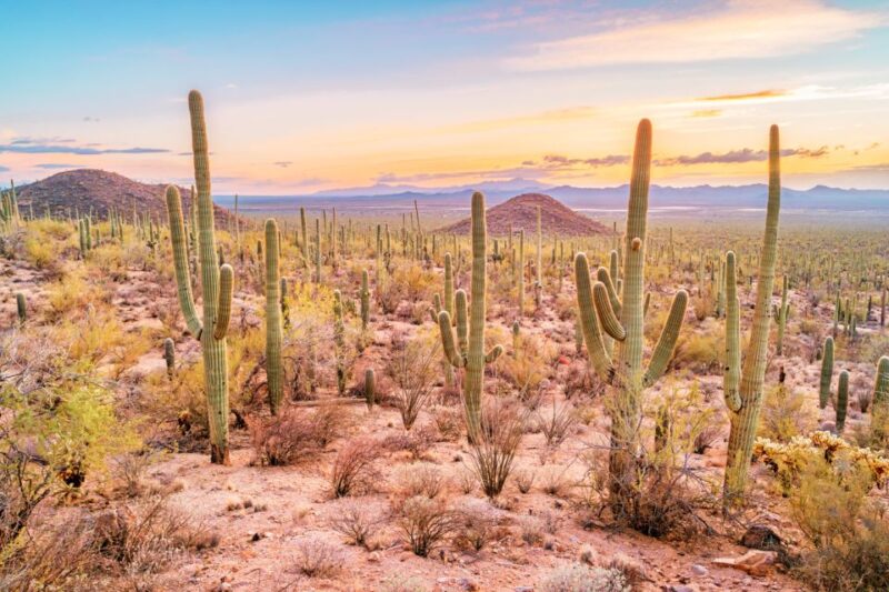 Box Canyon and Pinal Mountains Half-Day ATV Tour - Experience and Highlights