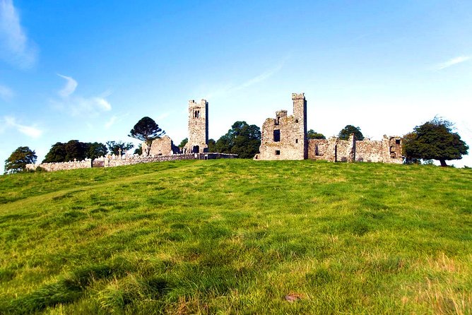 Boyne Valley, Meath - Private Shore Excursion - Tour Requirements and Pricing