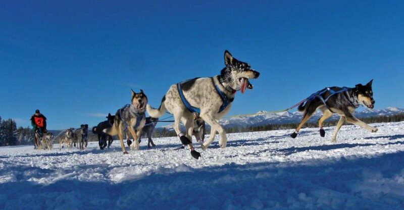Bozeman: 6 Day Yellowstone Winter Wonderland Tour - Included Amenities