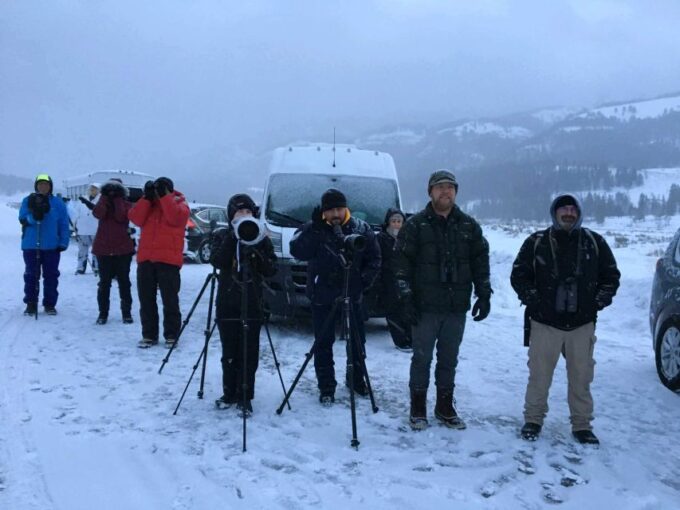 Bozeman: Yellowstone Wolves and Winter 4Day/3Night Adventure - Why Choose This Tour
