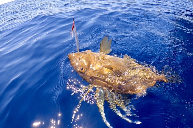 Brac and Solta Island Half Day Fishing Experience - Overview of the Fishing Experience