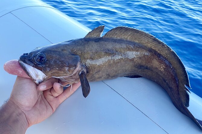 Brac and Solta Island Half Day Fishing Experience - Booking Confirmation and Preferences