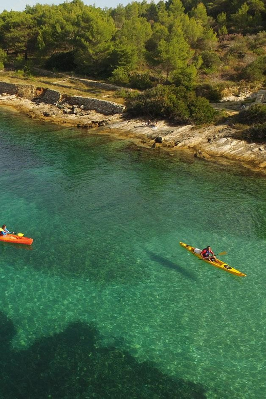 Brac Island: Postira to LovrečIna (St. Lovre) Sea Kayaking - Good To Know