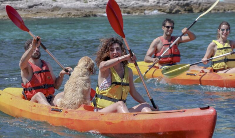 Brac Island: Postira to LovrečIna (St. Lovre) Sea Kayaking - Pricing and Availability