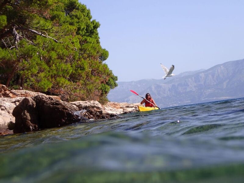 Brac Island: Supetar to Postira Kayaking Adventure - Good To Know