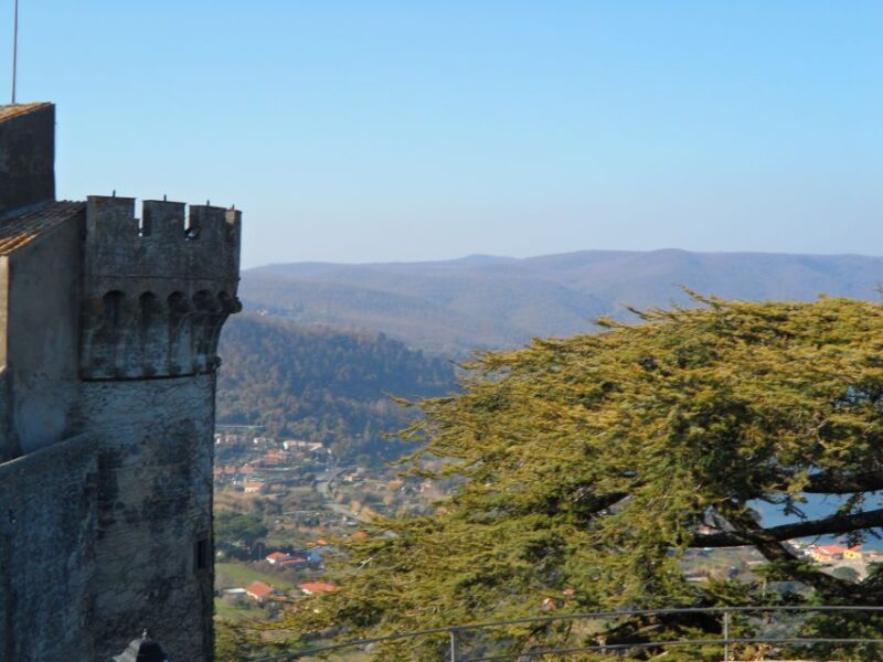 Bracciano: Odescalchi-Orsini Ancient Castle Tour With Lunch - Itinerary and Highlights