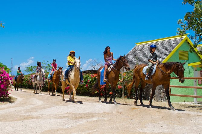 Braco Stables Horseback Ride and Swim Excursion From Runaway Bay - Included in the Experience
