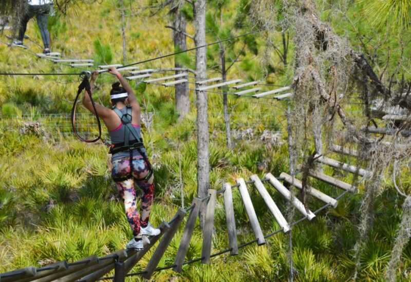 Bradenton: Adventure Course Entry Ticket - Adventure Course Overview
