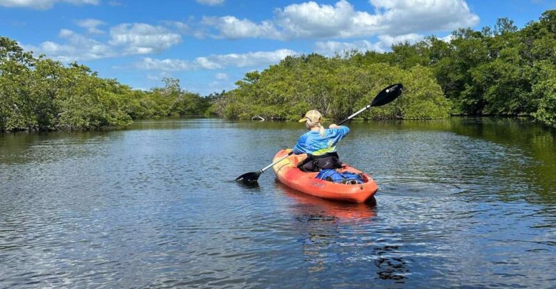 Bradenton: Anna Maria Island Guided Kayaking Manatee Tour - Booking and Cancellation Policy