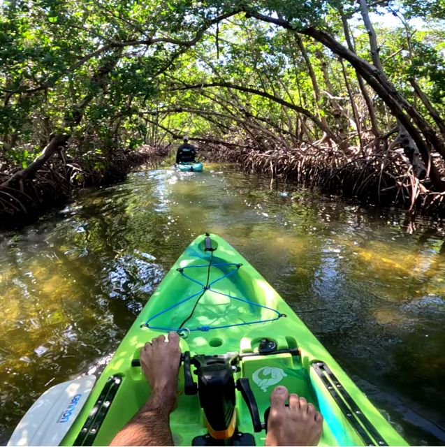 Bradenton: Guided Pedal Kayak Tour - Wildlife and Adventure Highlights