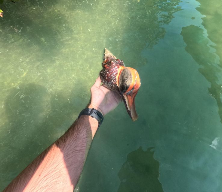 Bradenton: Guided Pedal Kayak Tour - Equipment and Safety