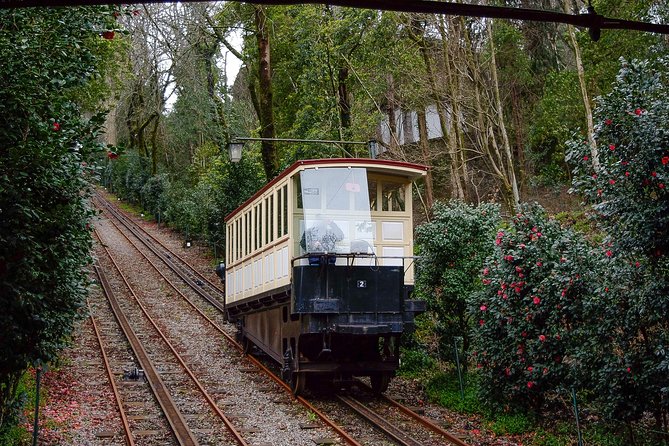 Braga – A Timeless Treasure - Cultural Traditions and Festivals