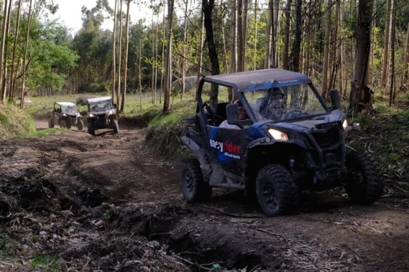 Braga: Off-Road Buggy Tour - Additional Information