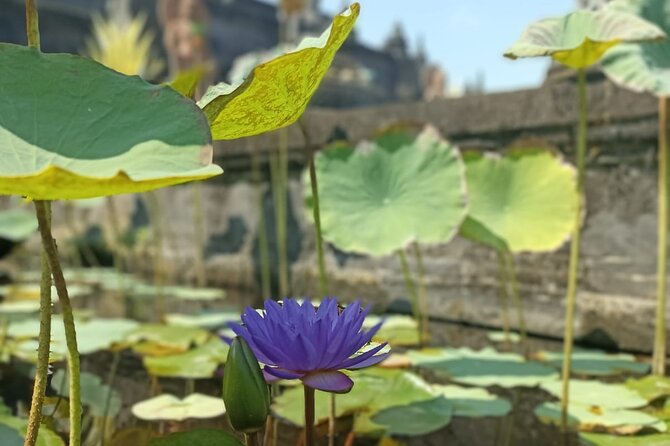 Brahmavihara Arama Banjar Hot Spring Ulundanu Bratan Private Tour - Banjar Hot Springs