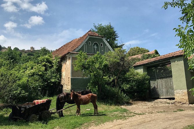 Bran and Rasnov Castles Tour From Brasov - Accessibility and Requirements