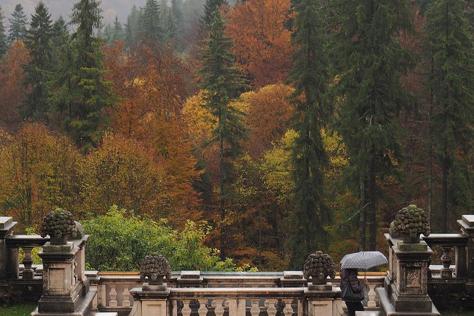 Bran Castle and Rasnov Fortress Tour From Brasov With Entrance Fees Included - Optional Peles Castle Visit - Attractions Visited