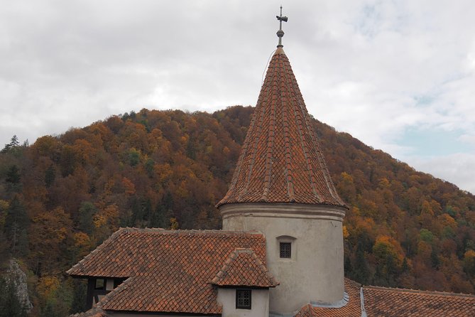 Bran Castle and Rasnov Fortress Tour From Brasov With Entrance Fees Included - Optional Peles Castle Visit - Nearby Attractions