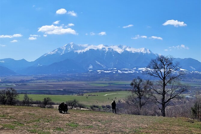 Bran Castle & Bear Sanctuary From Brasov - Optional Peles Castle - Peles Castle Option