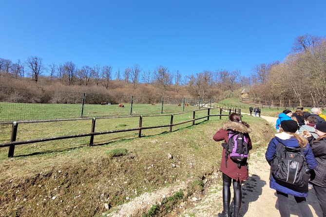 Bran Castle & Bear Sanctuary From Brasov - Optional Peles Castle - Group Size and Experience