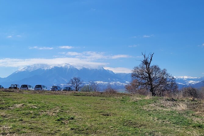 Bran Castle & Bear Sanctuary From Brasov - Optional Peles Castle - Inclusions and Pricing