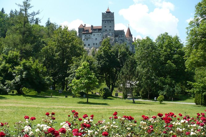 Bran Castle With Optional Bear Sanctuary From Brasov - Key Features