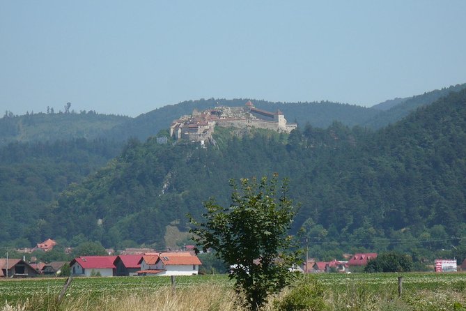 Bran Castle With Optional Bear Sanctuary From Brasov - White Tower