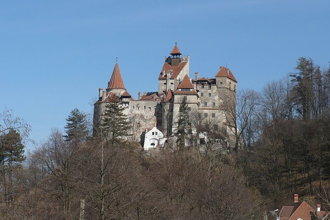 Bran Castle With Optional Bear Sanctuary From Brasov - Poiana Brasov