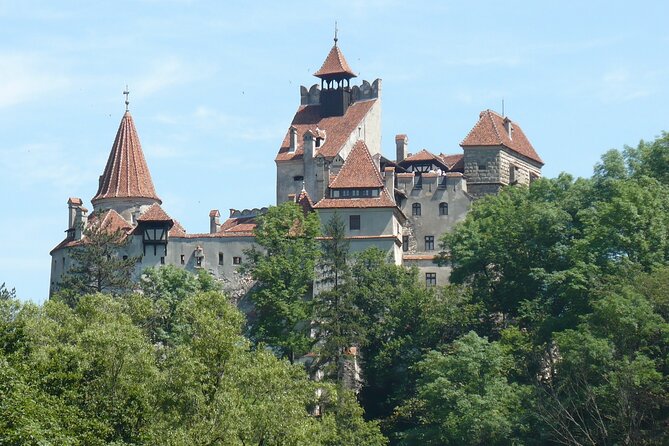 Bran Castle With Optional Bear Sanctuary From Brasov - Traveler Reviews