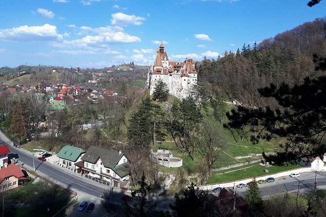 Bran Castle With Optional Bear Sanctuary From Brasov - Booking Information