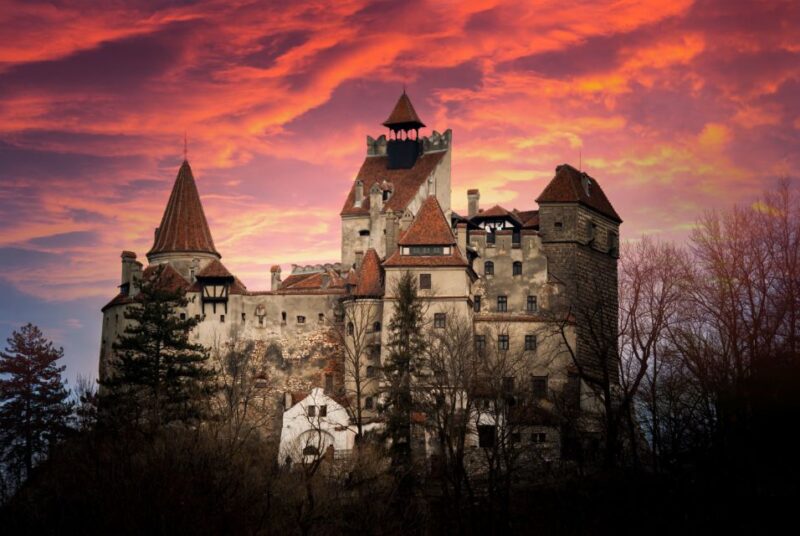 Bran: Guided Castle Tour - Tour Experience and Highlights