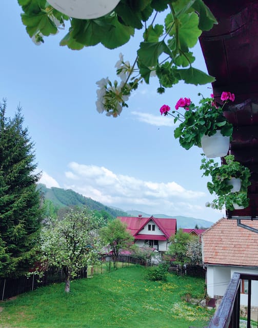Bran: Rural Tour With Local Food & Accommodation in Șimon - Key Points