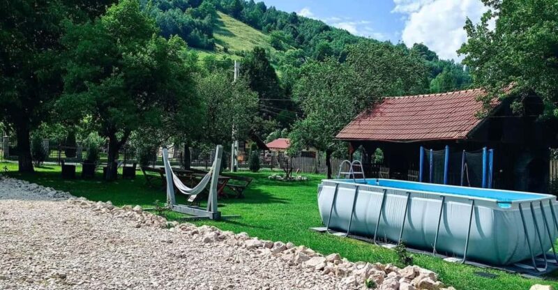 Bran: Rural Tour With Local Food & Accommodation in Șimon - Culinary Highlights