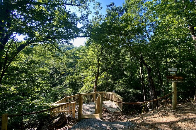 Branson Cart Adventures - Tour Experience