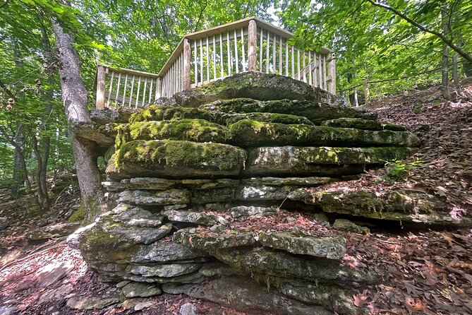 Branson Cart Adventures - Scenic Vistas and Wildlife