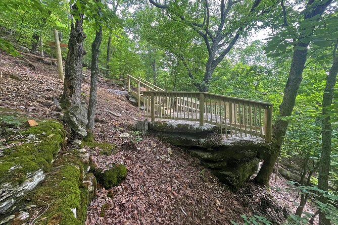 Branson Cart Adventures - Planning Your Visit